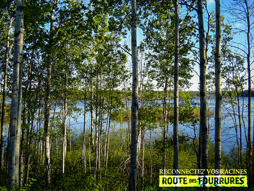rabaska-canoe_lac-st-jean-route-des-fourrures_