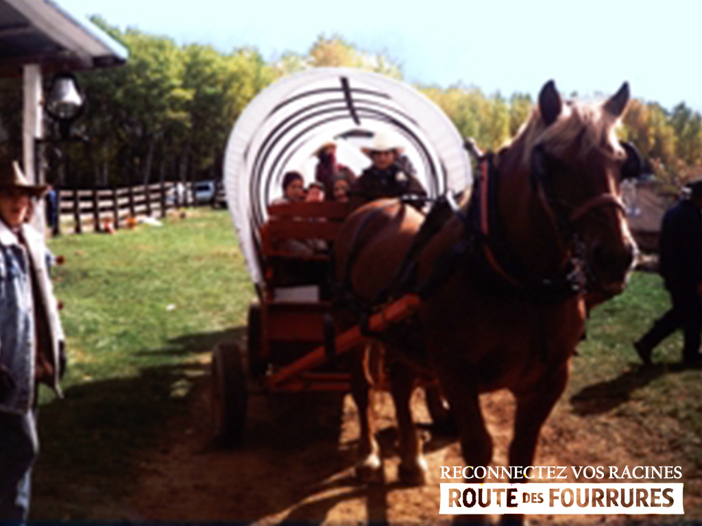 equitation_cheval_route_des_fourrures