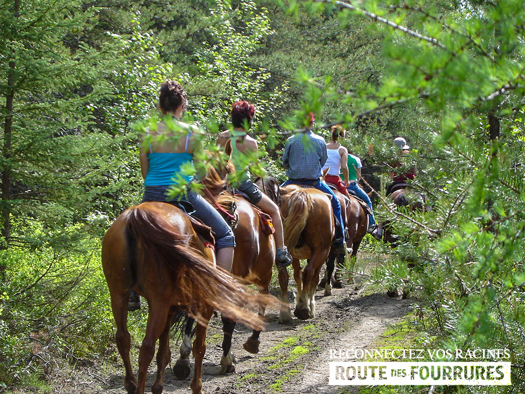 equitation_cheval_route_des_fourrures