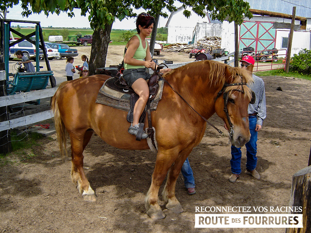 equitation_cheval_route_des_fourrures