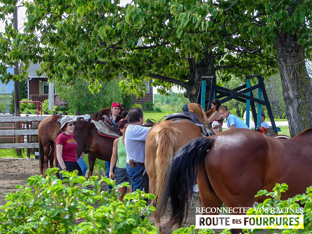 equitation_cheval_route_des_fourrures
