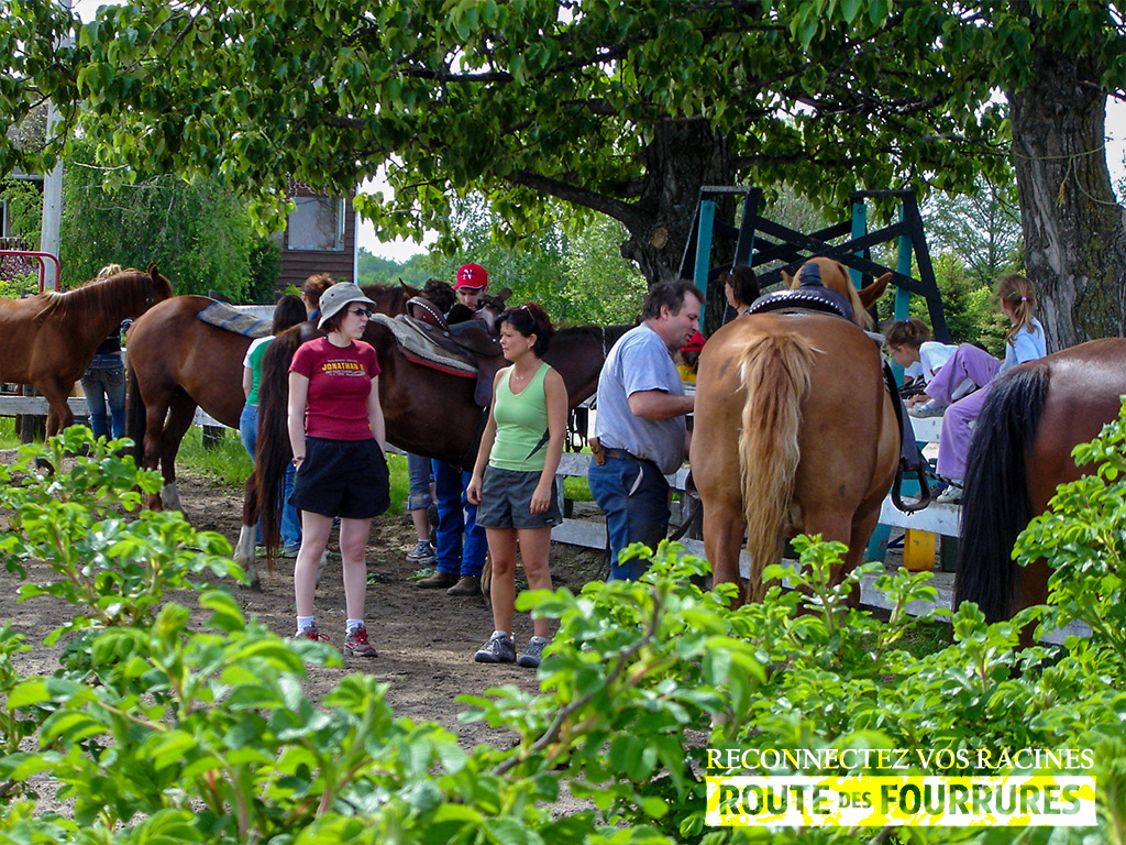 equitation_cheval_route_des_fourrures